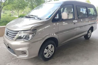 Forthing Lingzhi