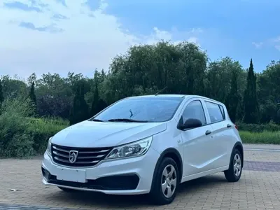Baojun 310