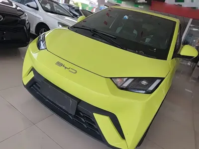 BYD Seagull