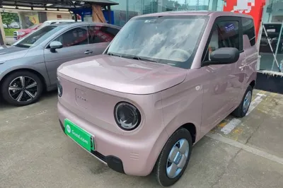 Geely Galaxy Panda