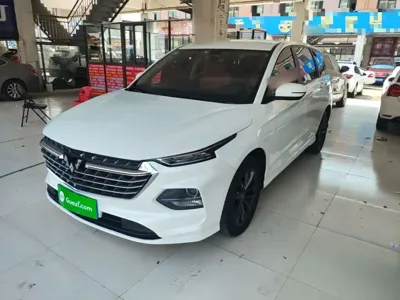 Wuling Victory