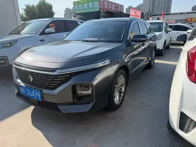Baojun Valli