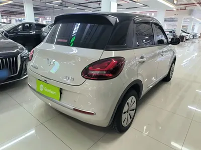 Wuling Bingo