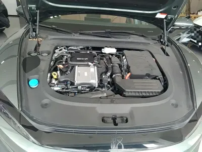BYD 汉L