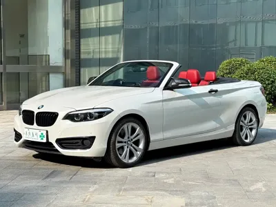 BMW 2 Series (Import)