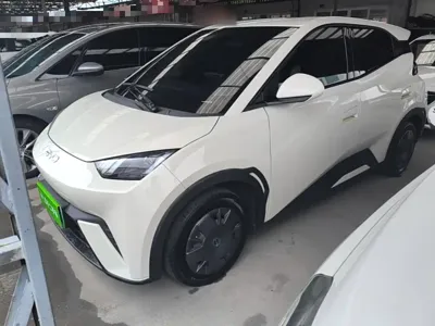 BYD Seagull