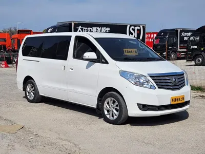 Fengxing Lingzhi PLUS