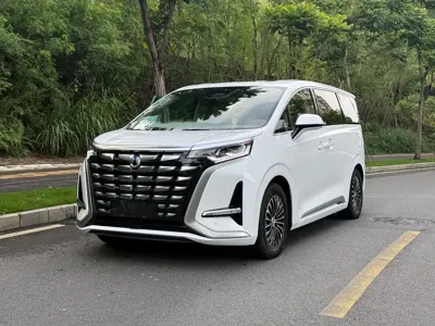 Denza Denza D9
