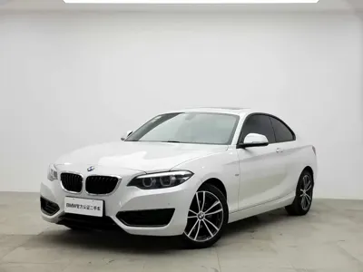 BMW 2 Series (Import)