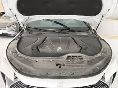 BYD Tang New Energy
