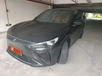 NETA Neta L