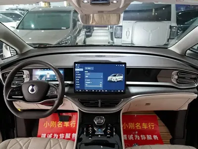 Denza Denza D9