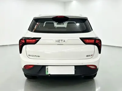 NETA Neta V