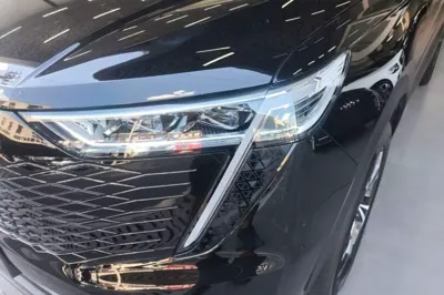 Haval Fierce Dragon Max