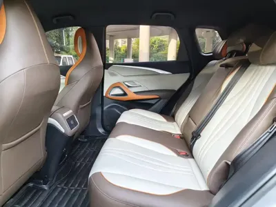 BYD Pro New Energy