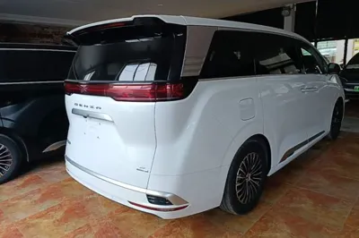 Denza D9