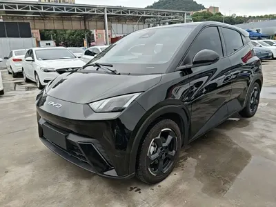 BYD Seagull