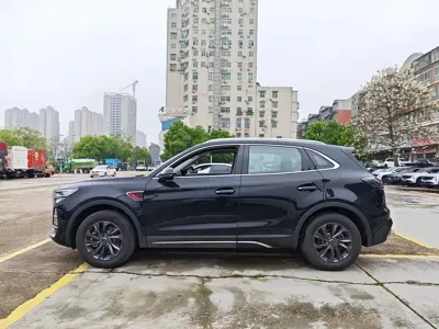 Hongqi Hongqi HS5