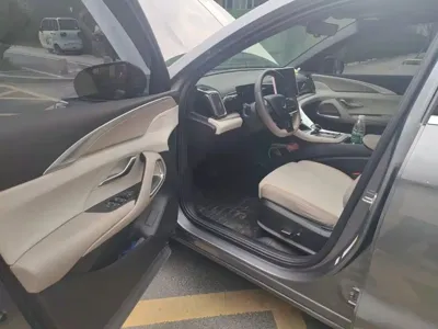 BYD Pro New Energy
