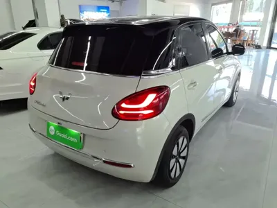Wuling Bingo