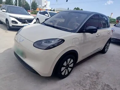 Wuling Bingo