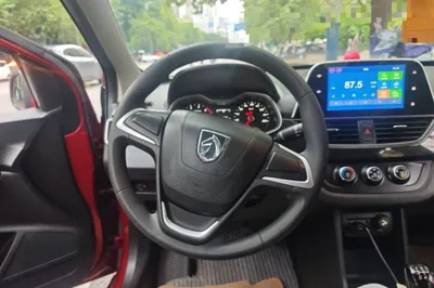 Baojun 310