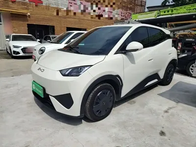 BYD Seagull