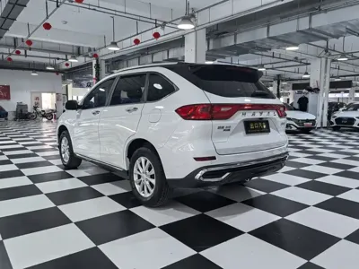 Haval M6