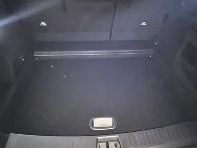 NETA Neta L