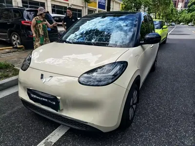 Wuling Bingo
