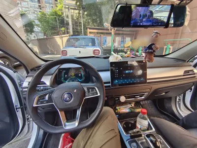 BYD Qin Pro New Energy