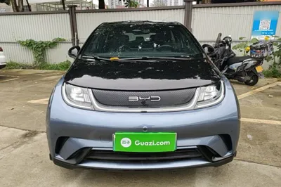 BYD Dolphin