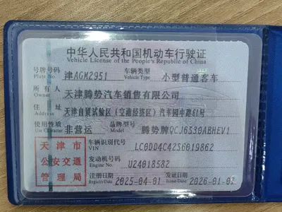 Denza 腾势N9