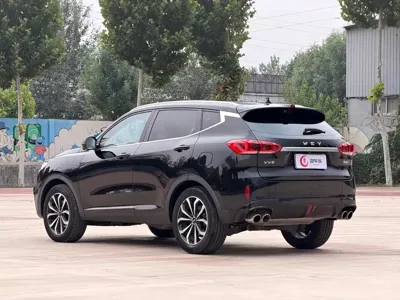 WEY Wey VV6