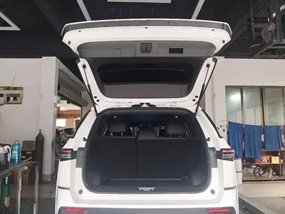 Toyota 铂智3X