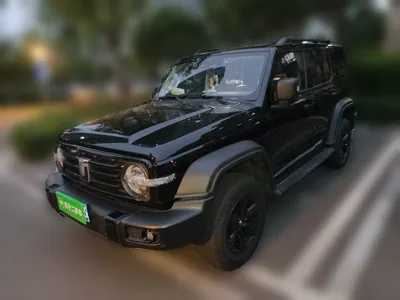 Tank 300