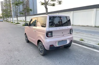 Geely Galaxy Panda