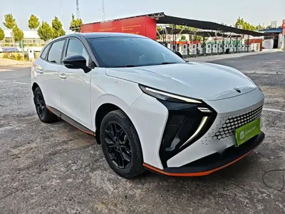 Fengxing Fengxing Leiting