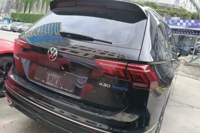 Volkswagen Tiguan L New Energy