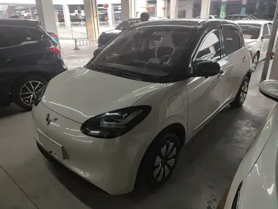 Wuling Bingo