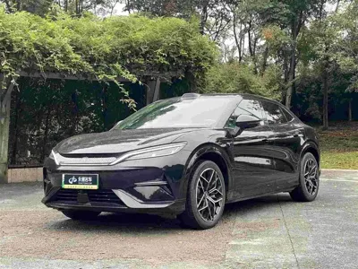 BYD L EV
