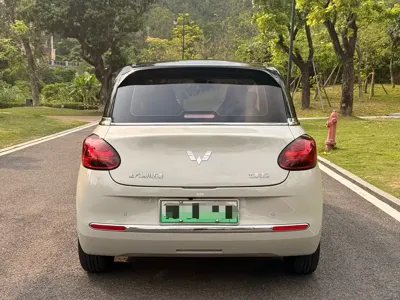 Wuling Bingo