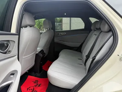 BYD 海狮06