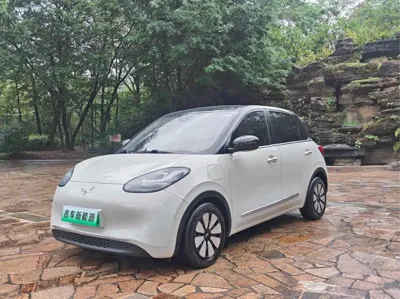 Wuling Bingo