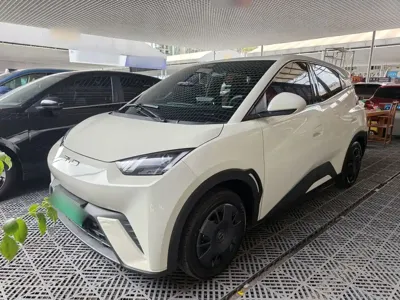 BYD Seagull