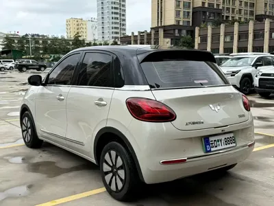 Wuling Bingo