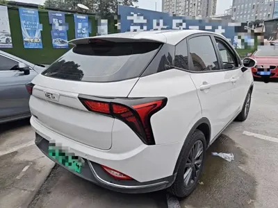 NETA Neta V