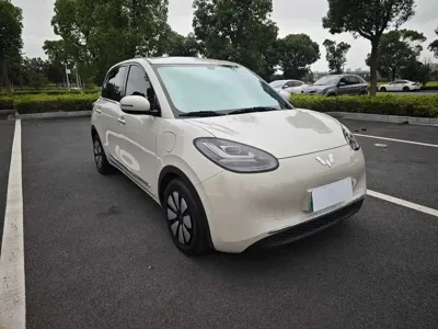 Wuling Bingo