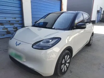 Wuling Bingo