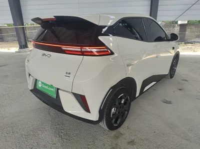 BYD Seagull